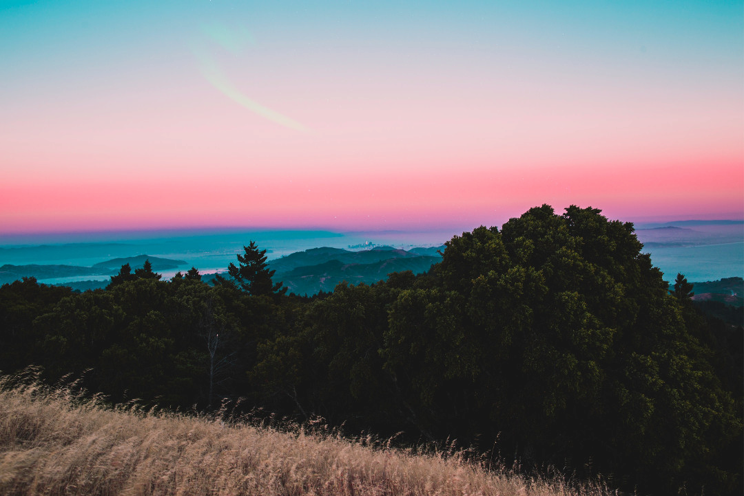 Warm end of the day somewhere up high, surrounded by grass and trees, with the sea in the distance.