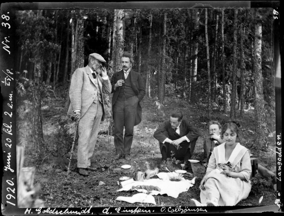 einstein picnic 1920, bw negative